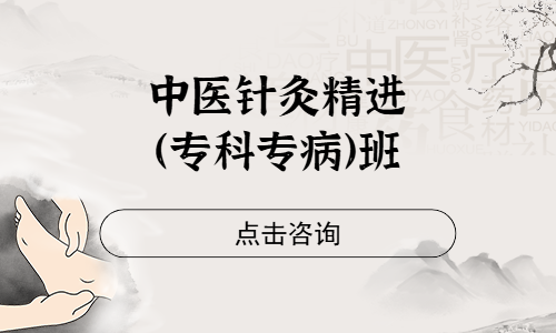 中医针灸精进（专科专病）班